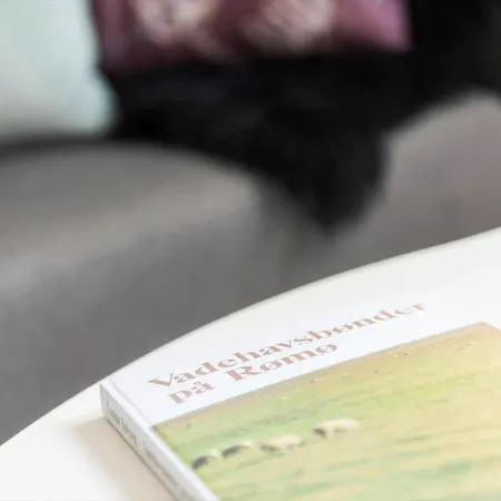 0267-romo-lyngvejen-58